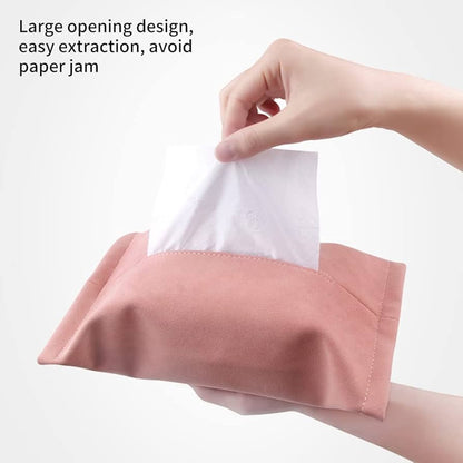 Car tissue holder